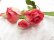 画像4: Rose Bouquet Corsage (4)