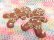 画像4: Ginger Bread Ornament (4)