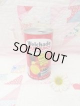 Welchade Fruit Punch B
