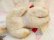 画像6: Valentine Siamese Cat