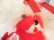 画像6: Rushton Valentine Poodle Red