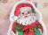 画像8: Plastic Party Tray Santa