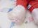 画像8: Vintage Santa Claus Plush