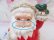 画像6: Spaghetti Santa Coin Bank C