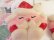 画像5: Lollipop Santa Ornament