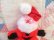 画像4: Googly Eyes Yarn Santa Ornament (4)