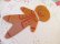 画像4: Plate Ginger Bread Ornament (4)