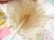 画像8: Baby Umbrella Purse Yellow Flower