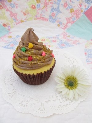 画像1: Squeeze Cupcake Chocolate