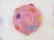 画像4: Colorful Dot Cupcake Container