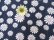 画像3: Baby Flannel Daisy Navy