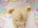 画像7: Honey Pot Bear Rubber Doll