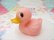 画像3: Pink Duck Rattle