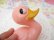 画像8: Pink Duck Rattle