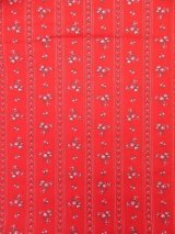 Tyrolean Flower Stripe Red