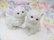 画像5: HOMCO Twin Kitten Figurine