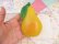 画像9: Big Pear Magnet