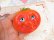 画像5: Arjon Tomato Magnet