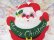 画像4: Santa Claus Potholder (4)