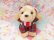 画像2: Tartan check Mini Bear 