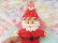 画像4: Cookie Santa Clay (4)