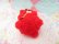 画像6: PomPom Bear Red (6)