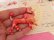 画像6: Lady Poodle Red Brooch