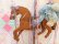 画像8: Romantic Carousel Bear
