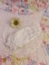 画像1: AVON Hand Dish Mini (1)
