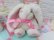 画像3: Lop Eared Bunny