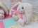 画像7: Lop Eared Bunny