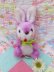 画像1: Small Bunny Purple×White (1)