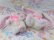 画像8: Lop Eared Bunny