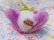 画像7: Small Bunny Purple×White