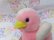 画像8: Westcliff Pink Duck