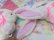 画像9: Lop Eared Bunny