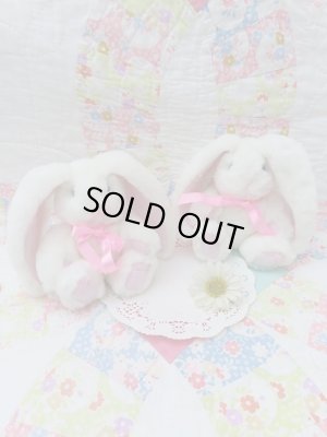 画像1: Lop Eared Bunny