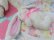 画像5: Lop Eared Bunny
