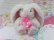 画像2: Lop Eared Bunny
