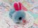画像8: Little Bunny Blue