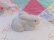画像2: Ceramic Rabbit S&P Shaker