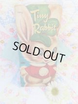 Tiny Rabbit Book