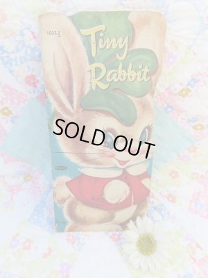 画像1: Tiny Rabbit Book