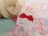 画像6: Red Bow Teddy Bear M