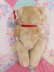 画像5: Red Bow Teddy Bear M