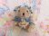画像2: Little Bear Michel