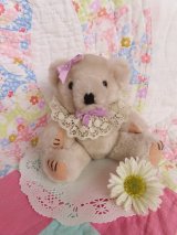 Little Bear Lace Collar
