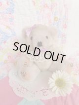 Little Bear Lace Collar