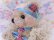 画像8: Romantic Teddy Bear Blue S