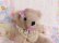 画像6: Little Bear Lace Collar